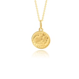 Zeige Details für Skorpion Sternzeichen Anhänger Gold 333 Bild von Skorpion Sternzeichen Anhänger Gold 333