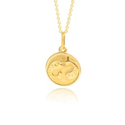 Zeige Details für Fische Sternzeichen Anhänger Gold 333 Bild von Fische Sternzeichen Anhänger Gold 333