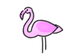 Bild für Kategorie Flamingos