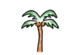 Bild für Kategorie Palmen